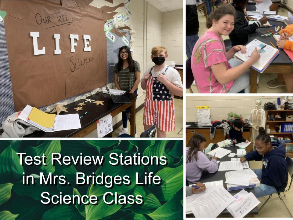 Mrs. Bridges Life Science Class