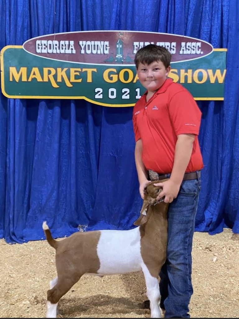 FFA Goat Show