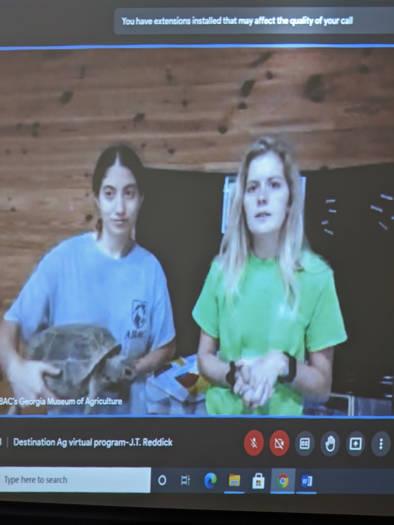 virtual field trip