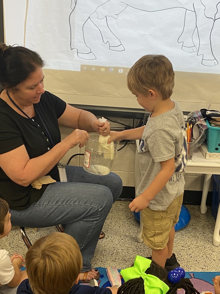 Mrs. Locke and Ms. Elisa’s Pre-K class “milked” a cow to celebrate milk day. 