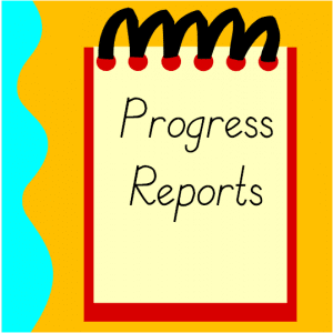 Mid Quarter Report