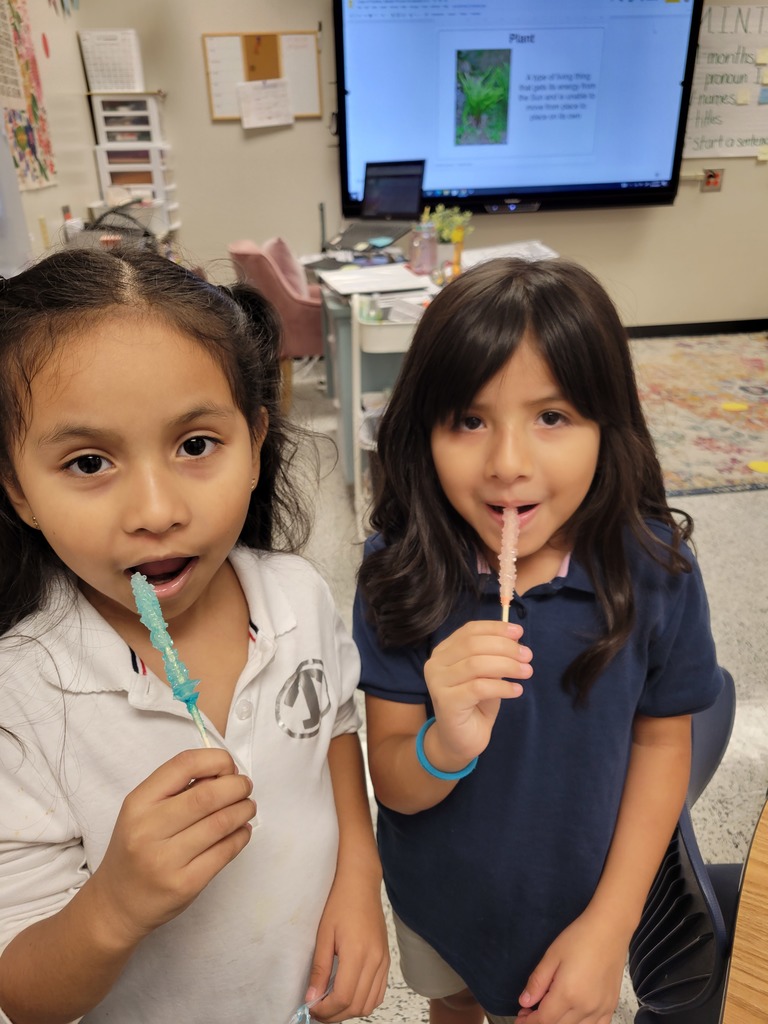 Students eating their rock candy.