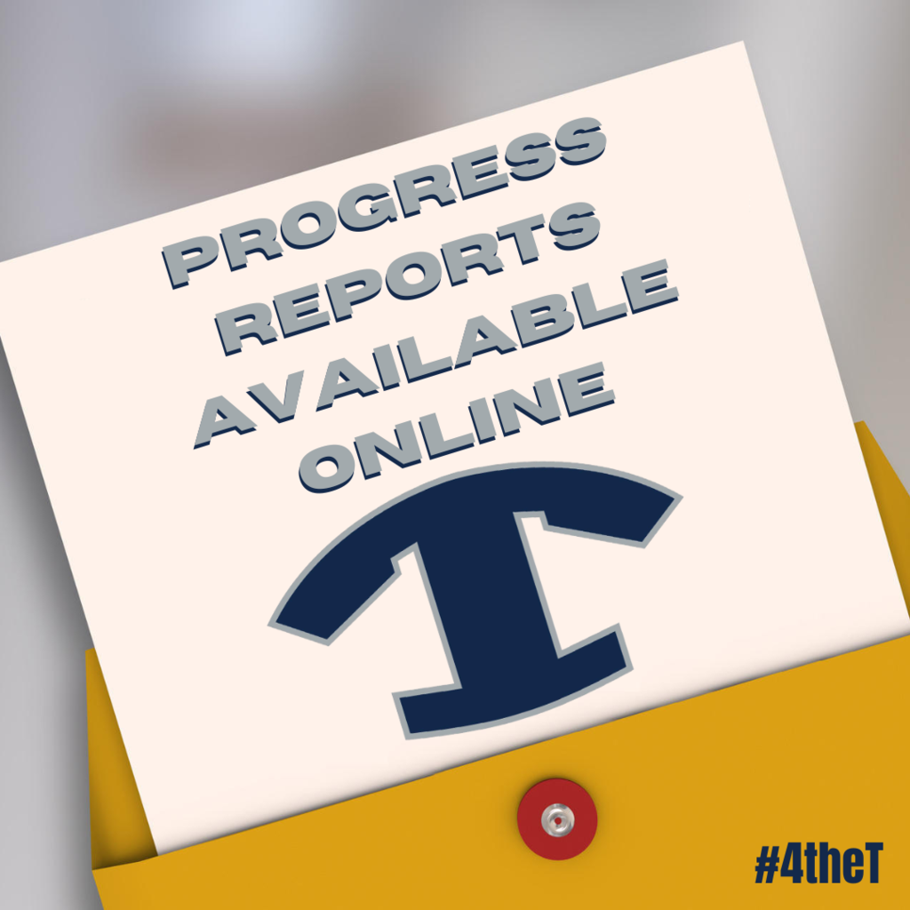 Progress Reports
