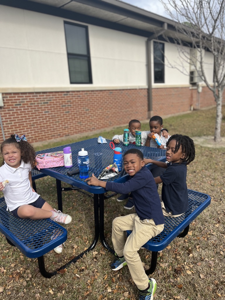 picnic