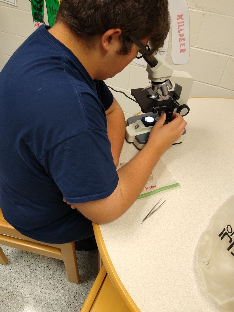 Lab Hair